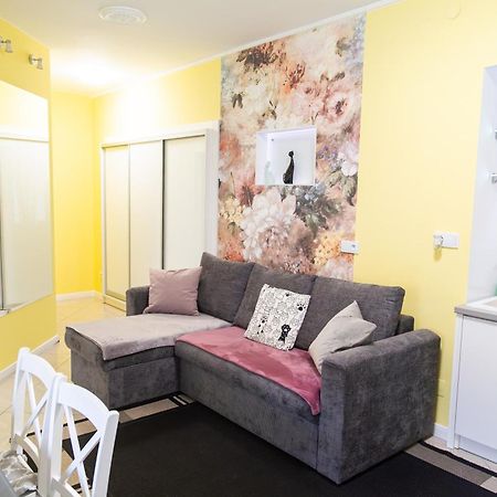 Apartament Przy Rynku Ostrowiec Świętokrzyski 外观 照片